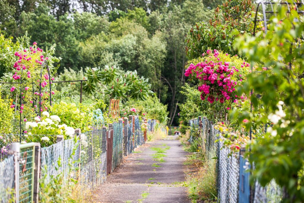 347417575_738633434933988_3101338938583070345_n